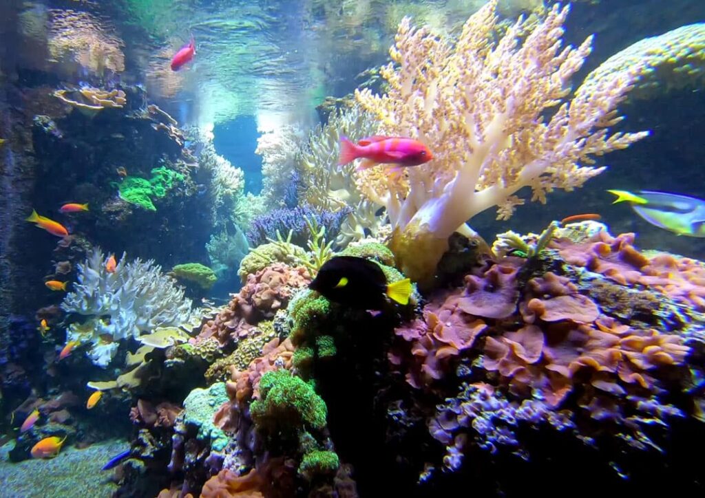 ベルリン水族館の写真